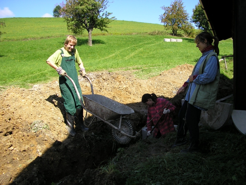 Pelet koleka nad vkopem