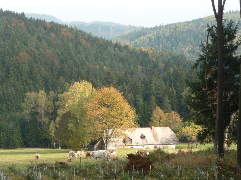 Podzimní táboření  (21.-30.10.)