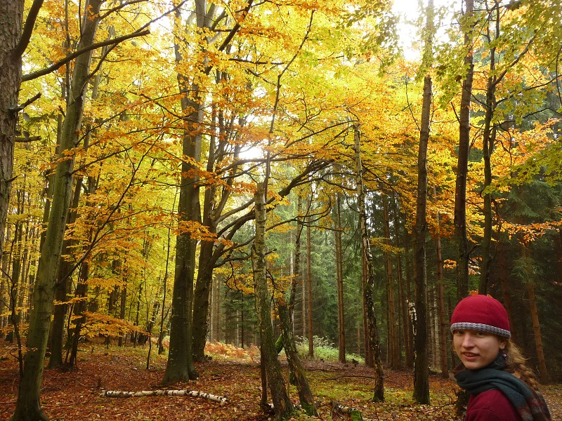 Podzimní táboření  (21.-30.10.)