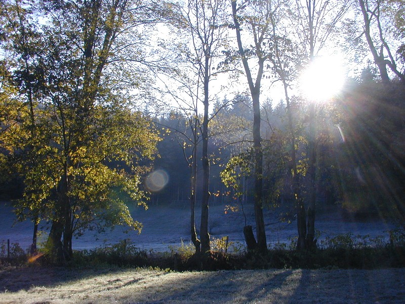 Podzimní táboření  (21.-30.10.)