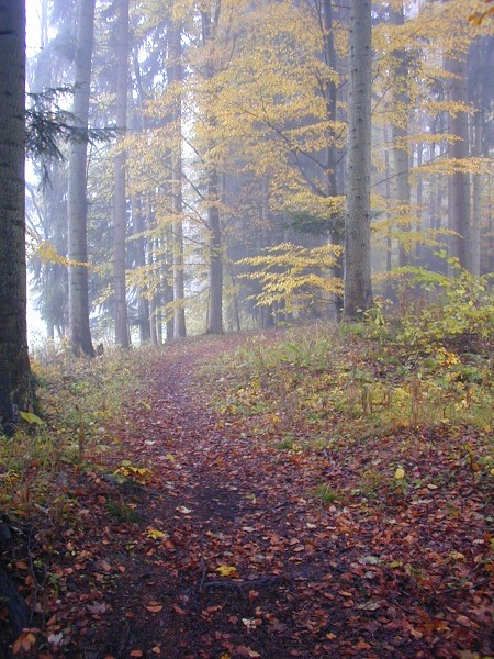 Podzimní táboření  (21.-30.10.)