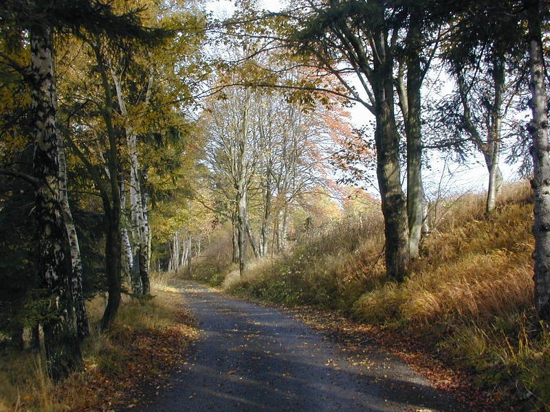 Podzimní táboření  (21.-30.10.)