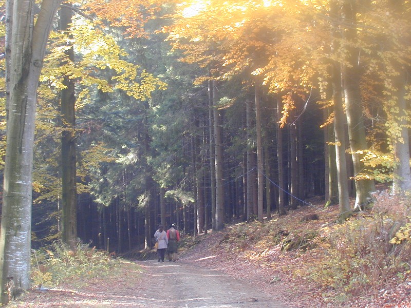 Podzimní táboření  (21.-30.10.)