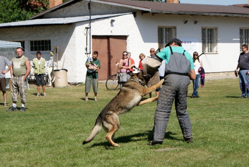 Den dětí 26.5. 2012