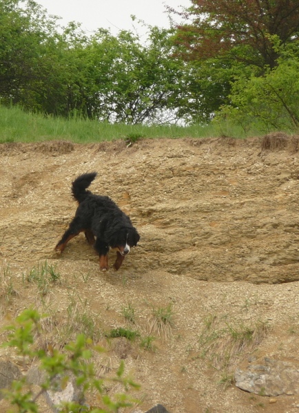 Jarní táboření (4.-8.5. 2012)