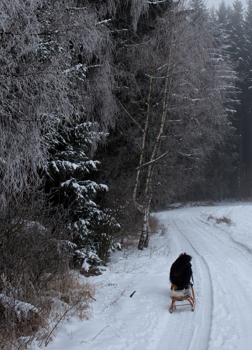 Bobří hrad (18-20.1. 2013)