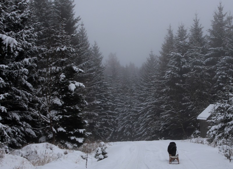 Bobří hrad (18-20.1. 2013)