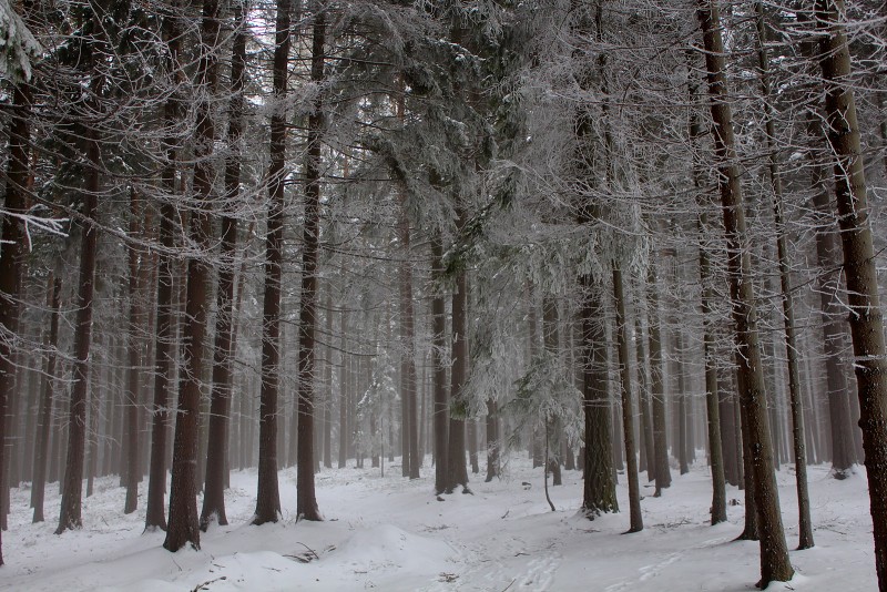 Bobří hrad (18-20.1. 2013)