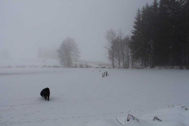 Bobří hrad (18-20.1. 2013)