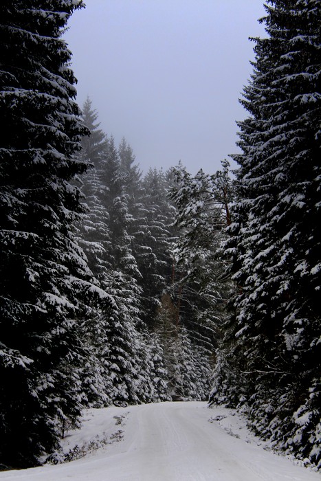 Bobří hrad (18-20.1. 2013)