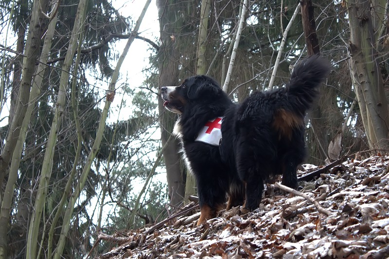 Výlet do muničního skladu (27.12. 2014)