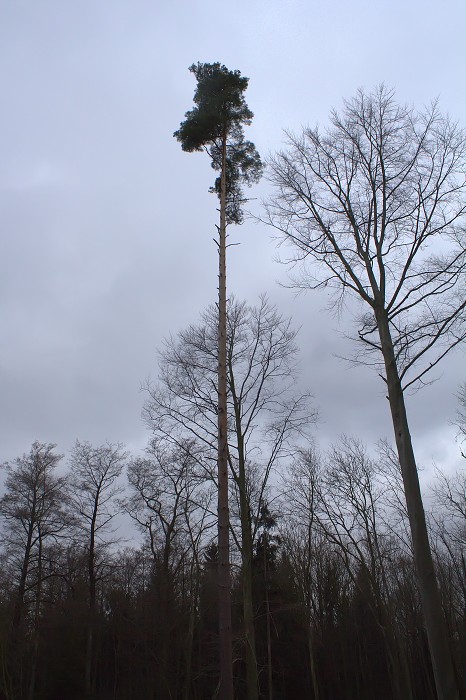 Výlet do muničního skladu (27.12. 2014)